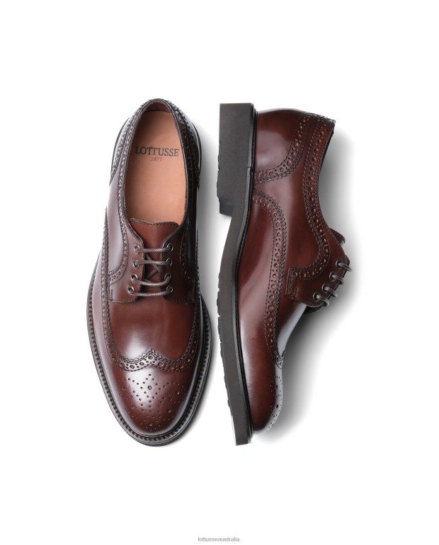 Men Lottusse Footwear Brown NT4PP160 Baltimore Bright Calf Derby