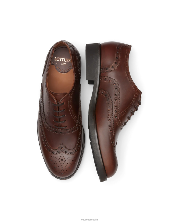 Men Lottusse Footwear Brown NT4PP185 Chelsea Wax Calf Derby