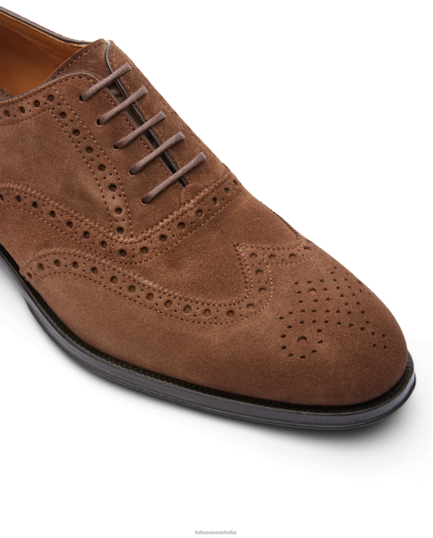 Men Lottusse Footwear Brown NT4PP140 Lenox Suede Calf Oxford