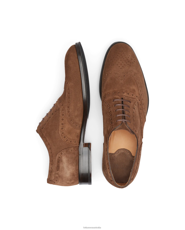 Men Lottusse Footwear Brown NT4PP140 Lenox Suede Calf Oxford