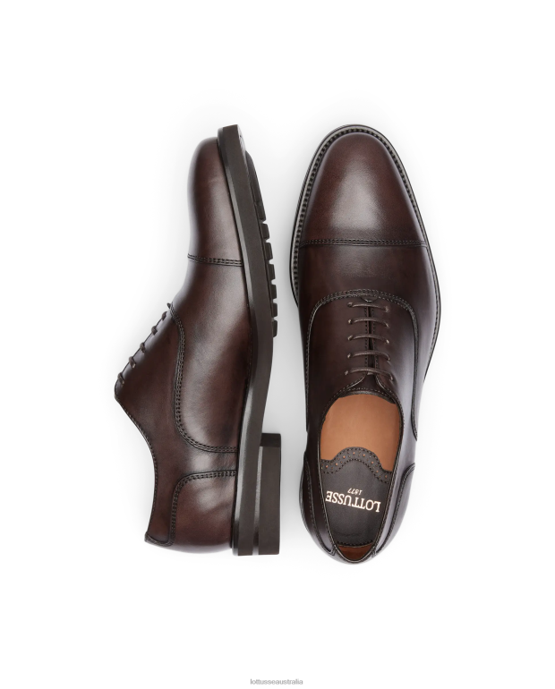 Men Lottusse Footwear Mocha NT4PP145 Holborn Brush Off Calf Oxford